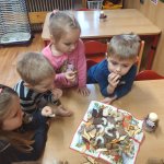 phoca_thumb_m_krteci nadlka 11 Fotogalerie